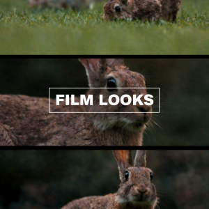 Final Cut Pro Presets Optimized for Blackmagic Pocket Cinema Camera