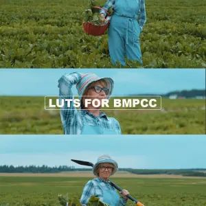 Cinematic Film Look LUTs Pack – Perfectly Calibrated for BMPCC 4K & 6K RAW Footage