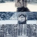 BMPCC 4K/6K LUTs Bundle (4 Sets) + ALL Sony S-Log3 Complete Pack | BRAW Gen 5 + S-Gamut3.Cine → Rec.709